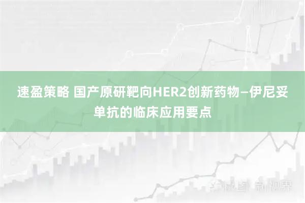 速盈策略 国产原研靶向HER2创新药物—伊尼妥单抗的临床应用要点