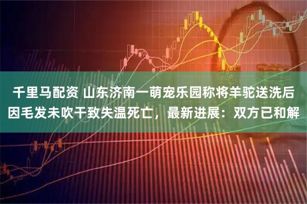 千里马配资 山东济南一萌宠乐园称将羊驼送洗后因毛发未吹干致失温死亡，最新进展：双方已和解